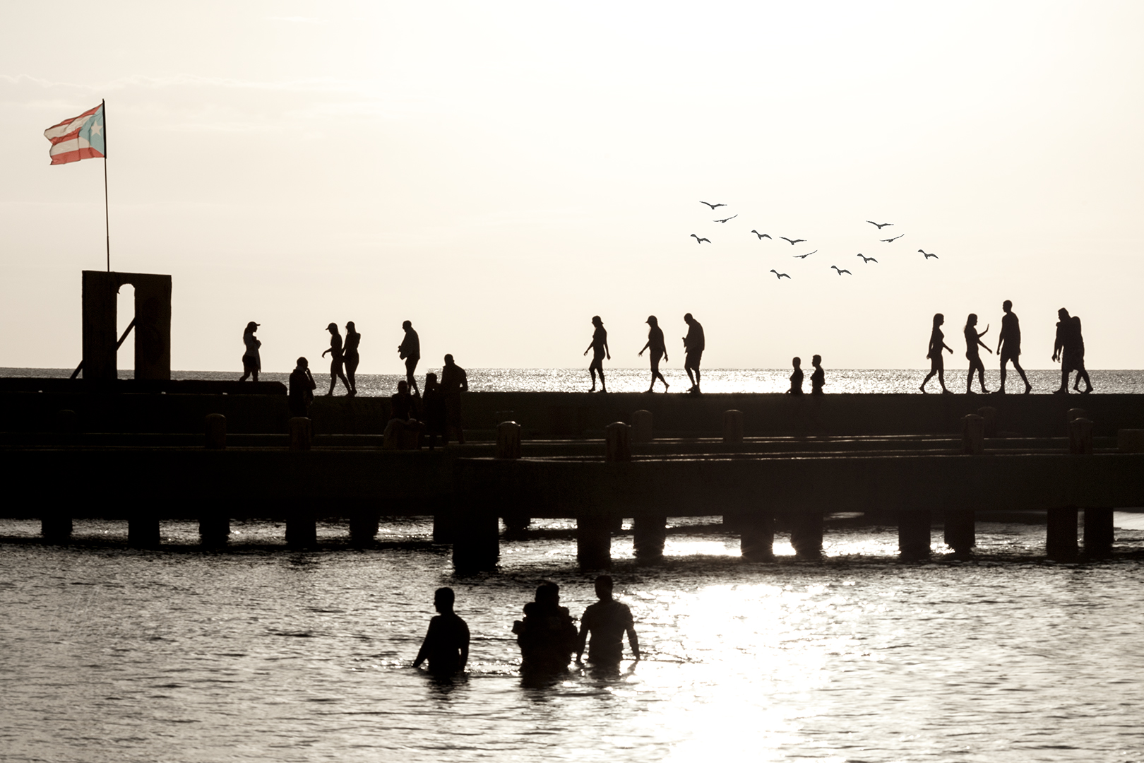 silhouette of people walking over a dock at sea, other people are in the water. the Puerto Rico flag waves and birds are flying in the background