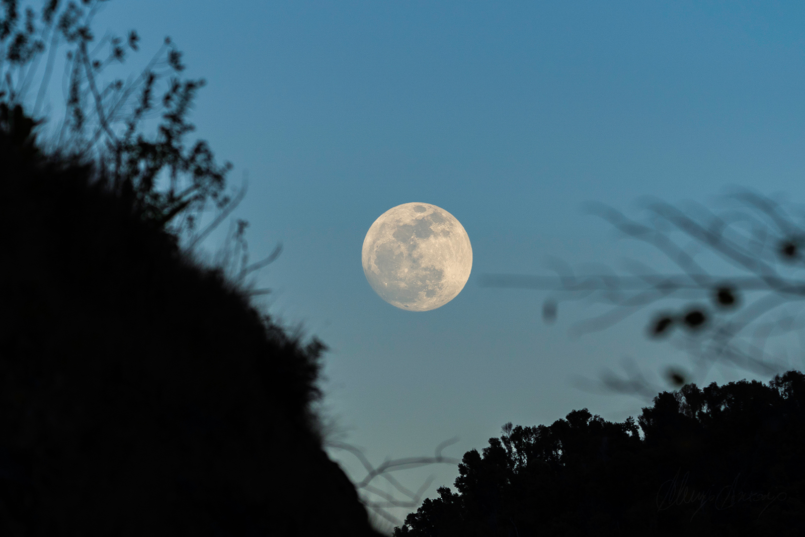 A full moon with a silhouette of trees and hills and pale blue skies.