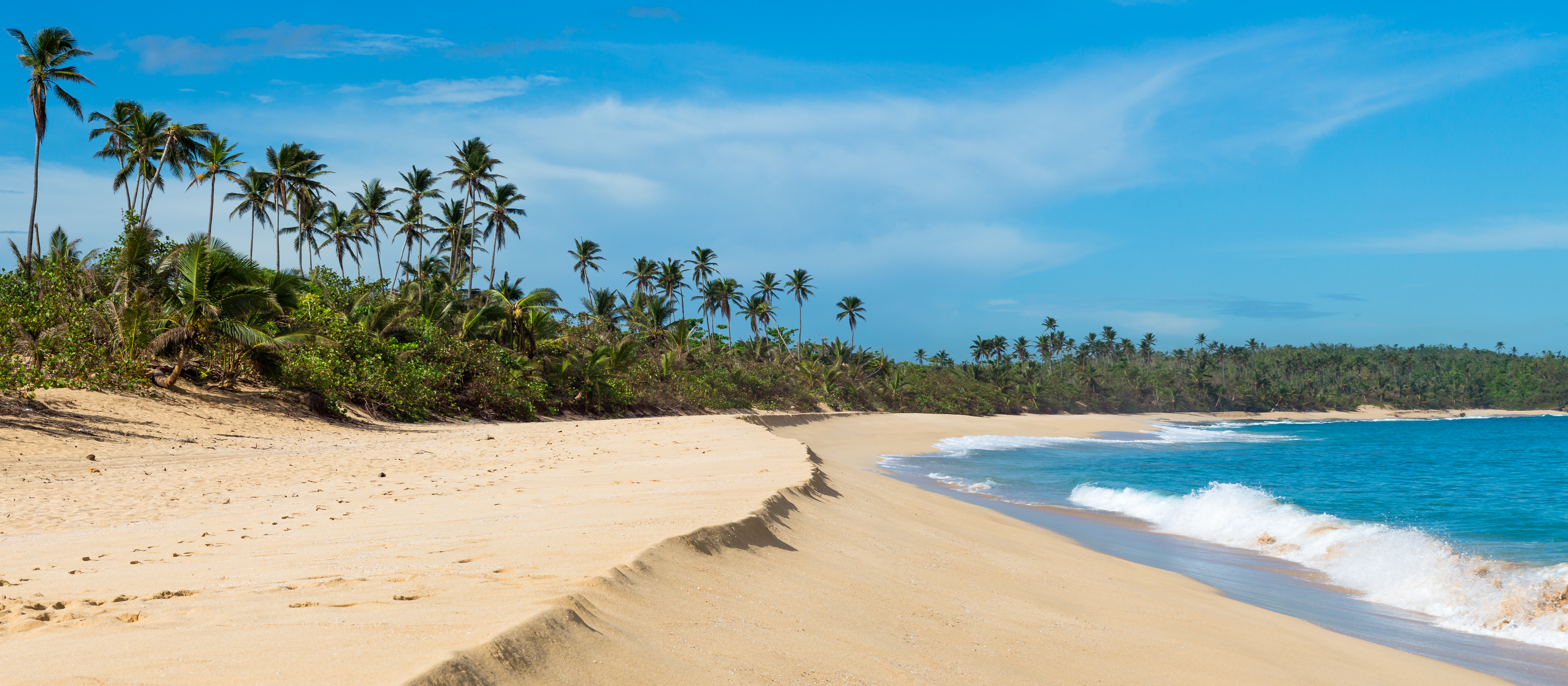 shoreline landscape of a golden sand caribbean beach, the sand has an S curve form, many palm trees in the background, blue skies and blue seas. waves breaking in the shore creating some white water.  