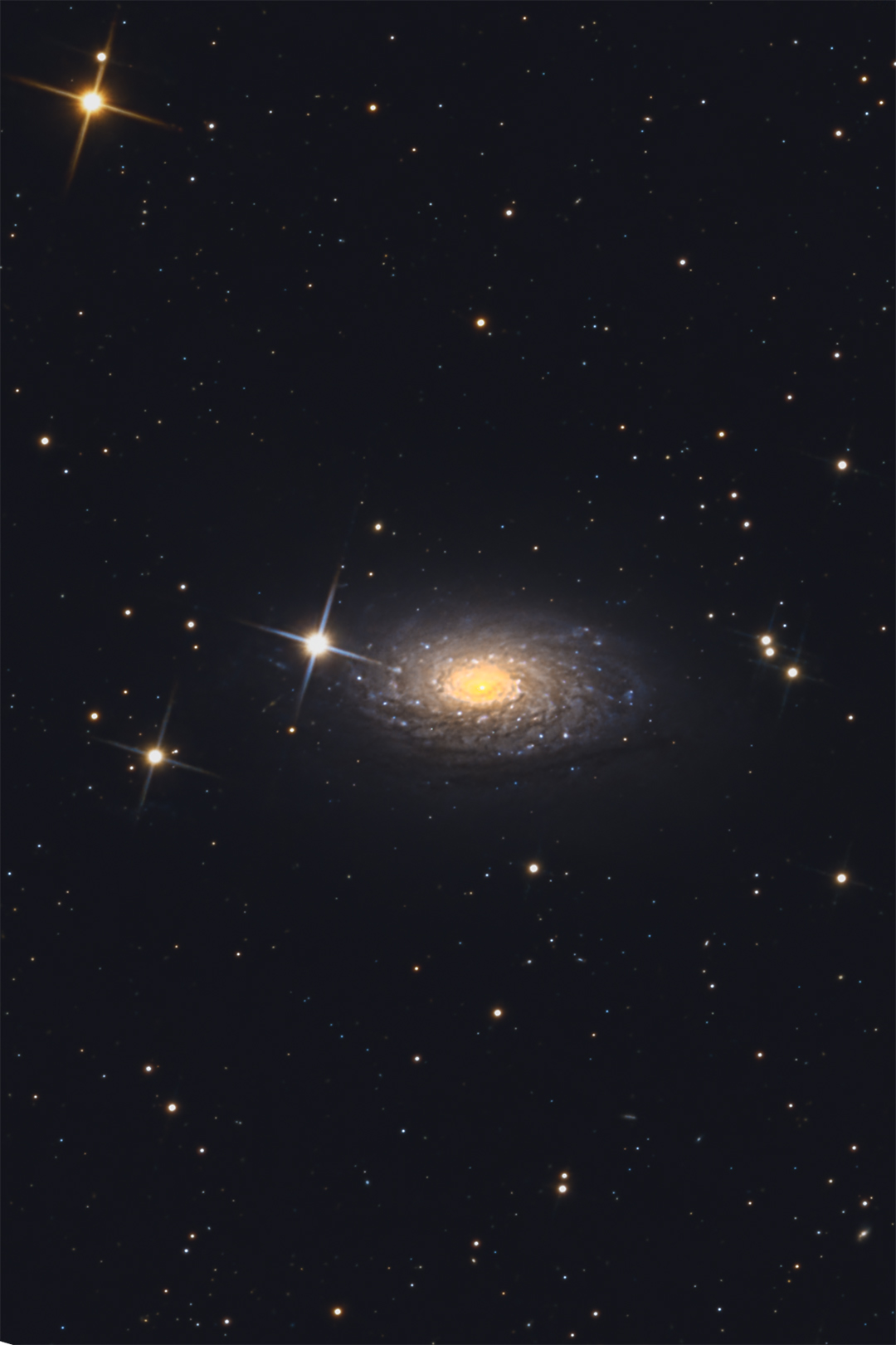 spiral galaxy with well-defined arms around a bright yellowish core, background include very bright stars with spikes
