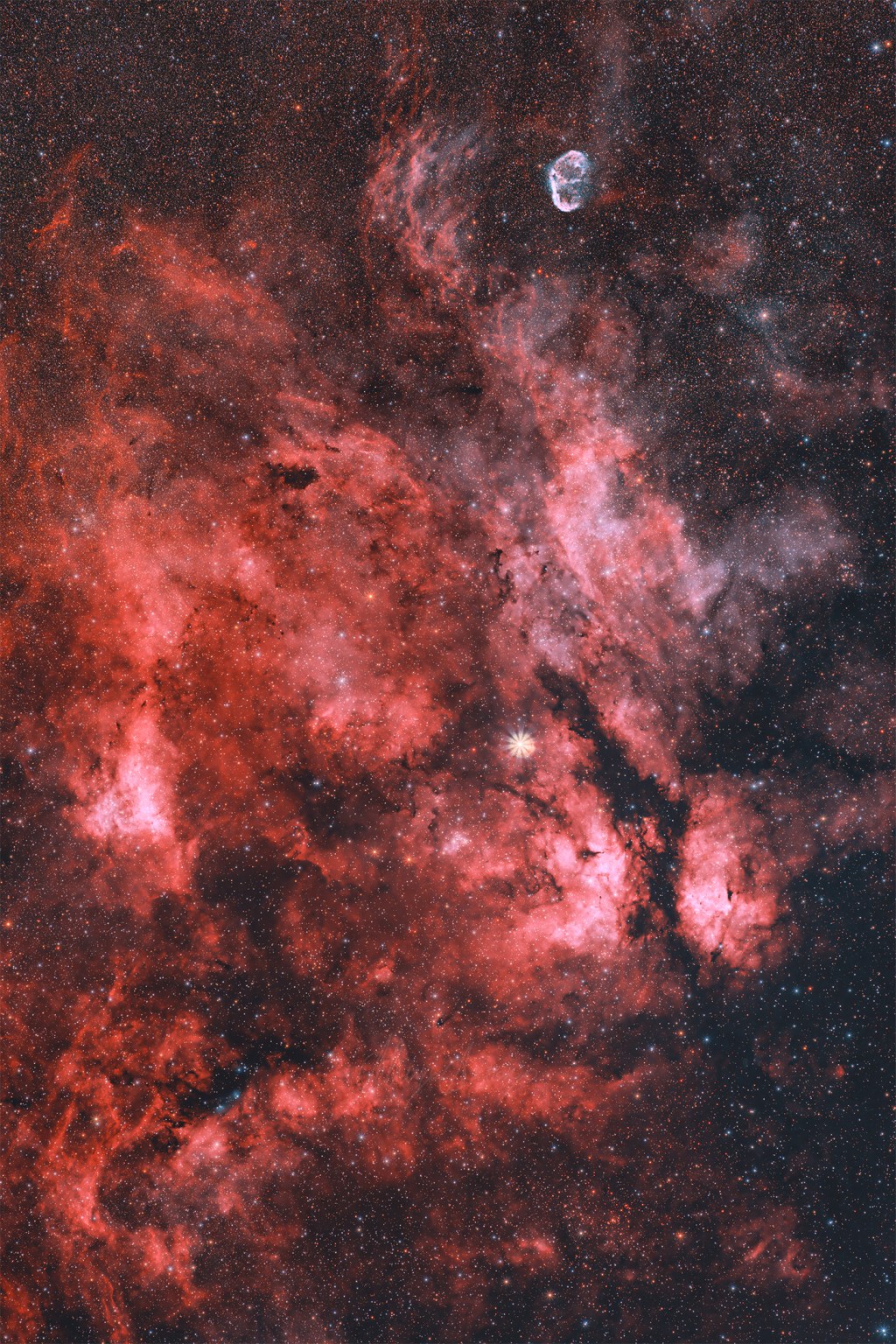 Sadr Region and Crescent&nbsp;Nebula